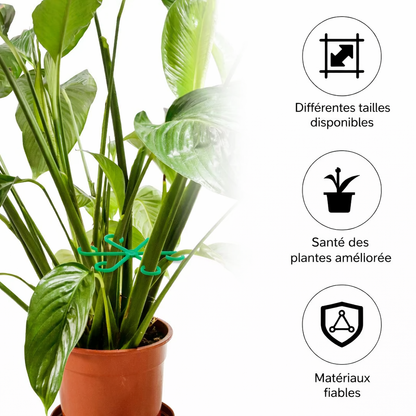 Ensemble de 4 anneaux de support réglables pour plantes de jardin et d'intérieur