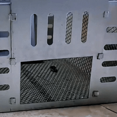 Piège à souris automatique à capture multiple et à déclenchement silencieux